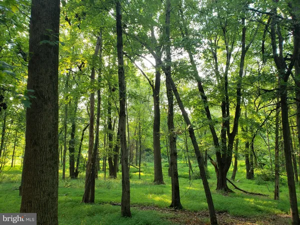 $2,000,000 | 748 Kentland Drive, Great Falls, VA 22066