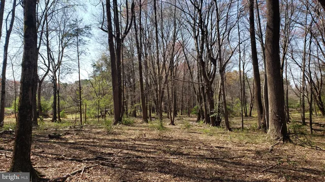 $2,000,000 | 748 Kentland Drive, Great Falls, VA 22066