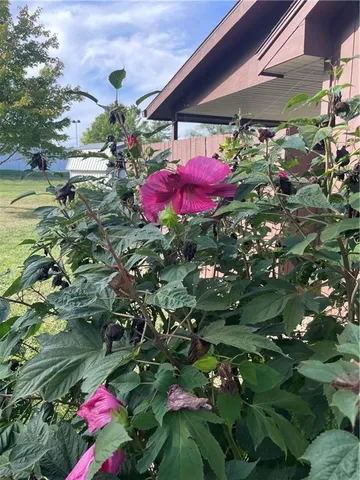 $279,000 | 1309 De Kalb Drive, Cameron, MO 64429