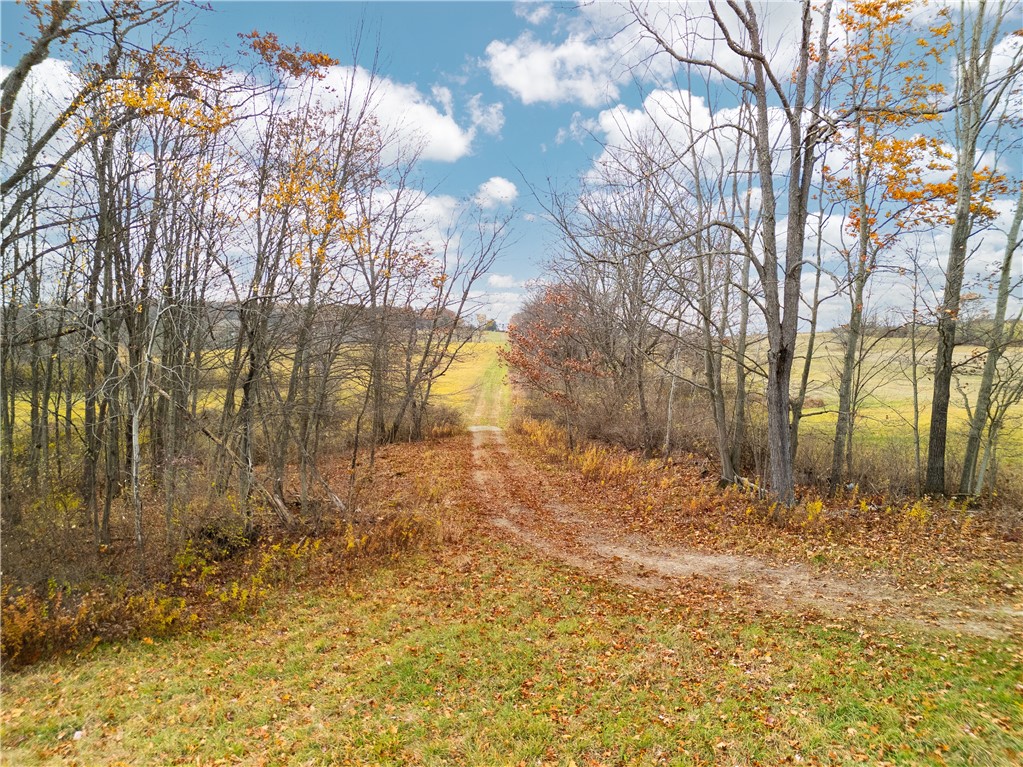 3444 County Route 2 Addison, NY 14801 - Photo 7 of 25