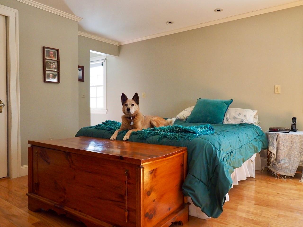 17 Rockland Road Concord, NH 03301 - Photo 18 of 37