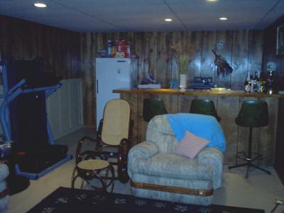 19553 Homer Road Marshall, MI 49068 - Photo 17 of 24 Additional Photo