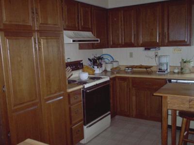 19553 Homer Road Marshall, MI 49068 - Photo 8 of 24 Additional Photo