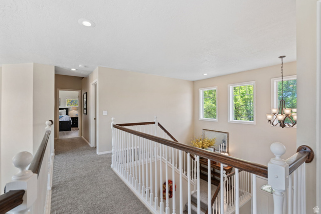 14883 Tooele Lane Draper, UT 84020 - Photo 24 of 49 Upper-level hallway featuring plush gray carpeting, recessed lighting, and a white baluster railing with dark wood handrails