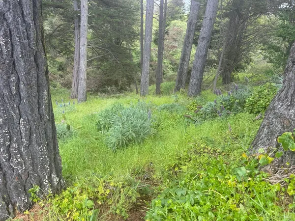 $99,000 | 389 Ocean Parkway, Bolinas, CA 94924