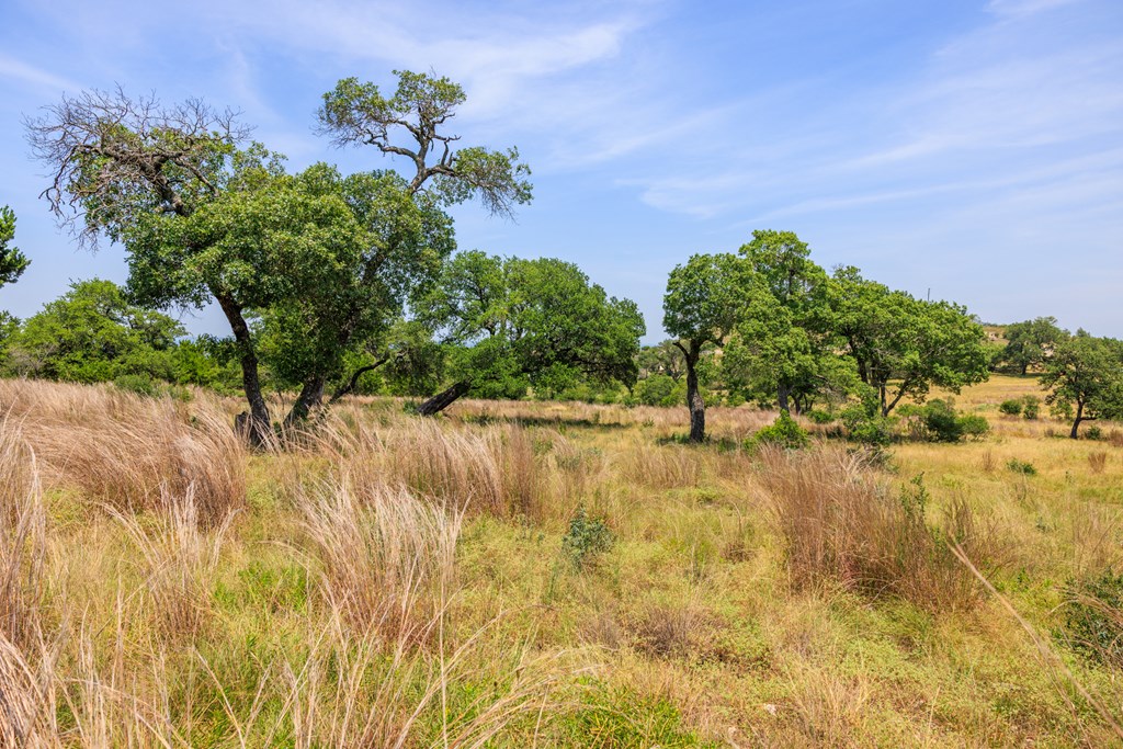 0 Paradise Ranch Road, Unit 12A Fredericksburg, TX 78624 - Photo 44 of 51