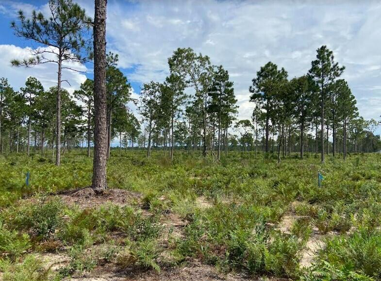 New Lot 5 New Road Windsor, SC 29856 - Photo 3 of 4