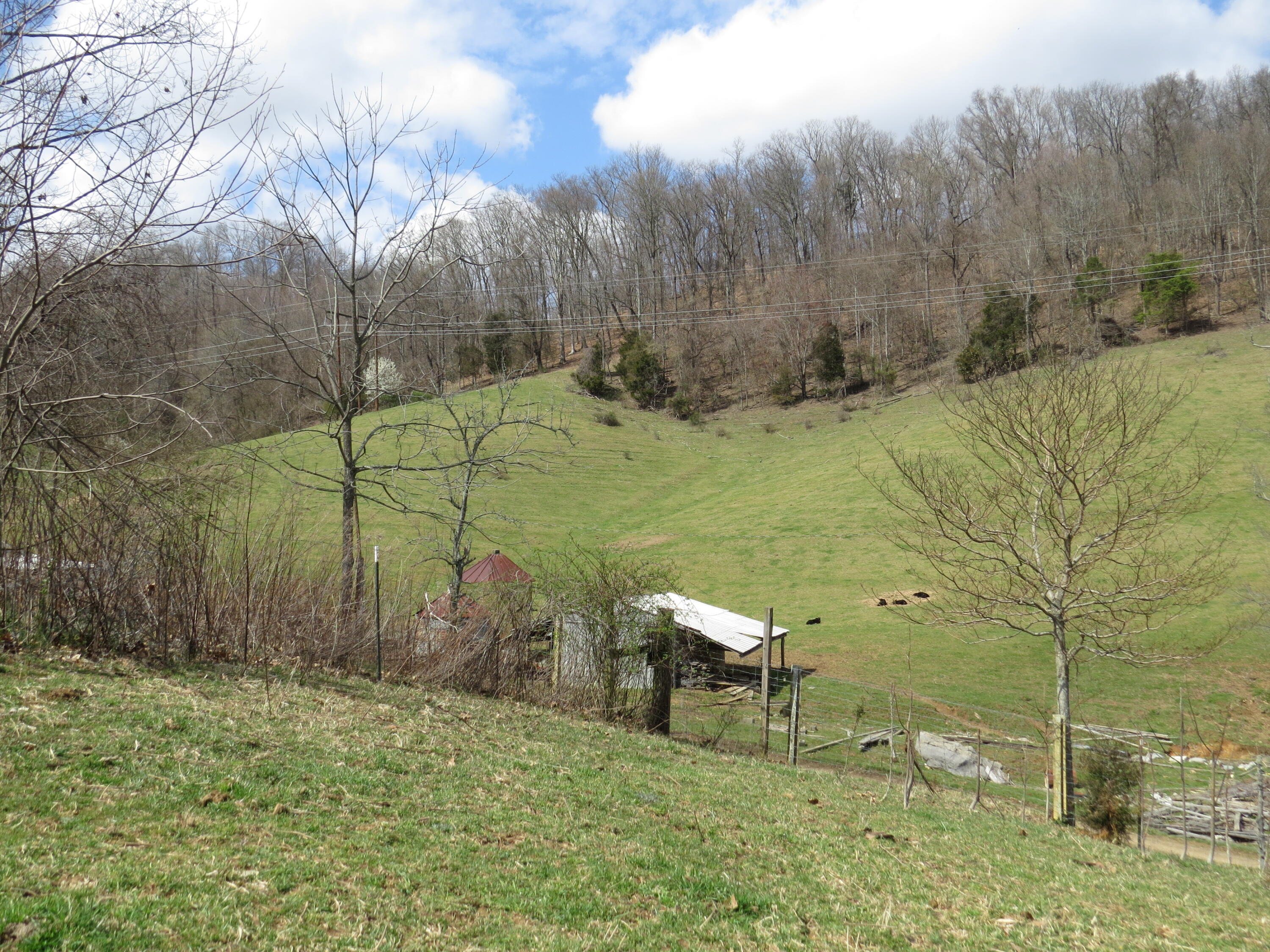 0 Webber Road, Unit 1 Bristol, TN 37620 - Photo 8 of 11 IMG_9026
