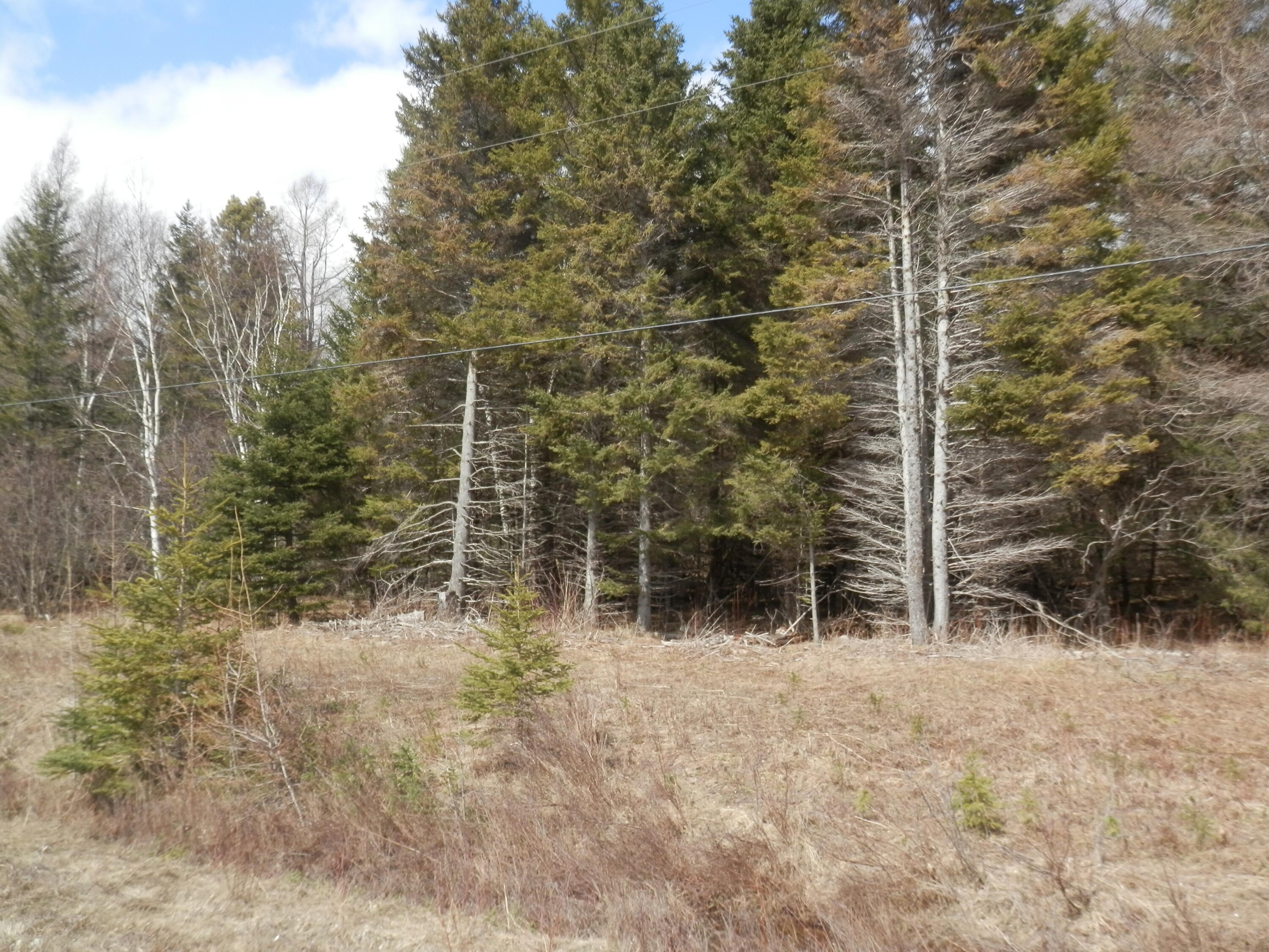 0 Parkington Road Gulliver, MI 49840 - Photo 2 of 6 Gallery Image 2