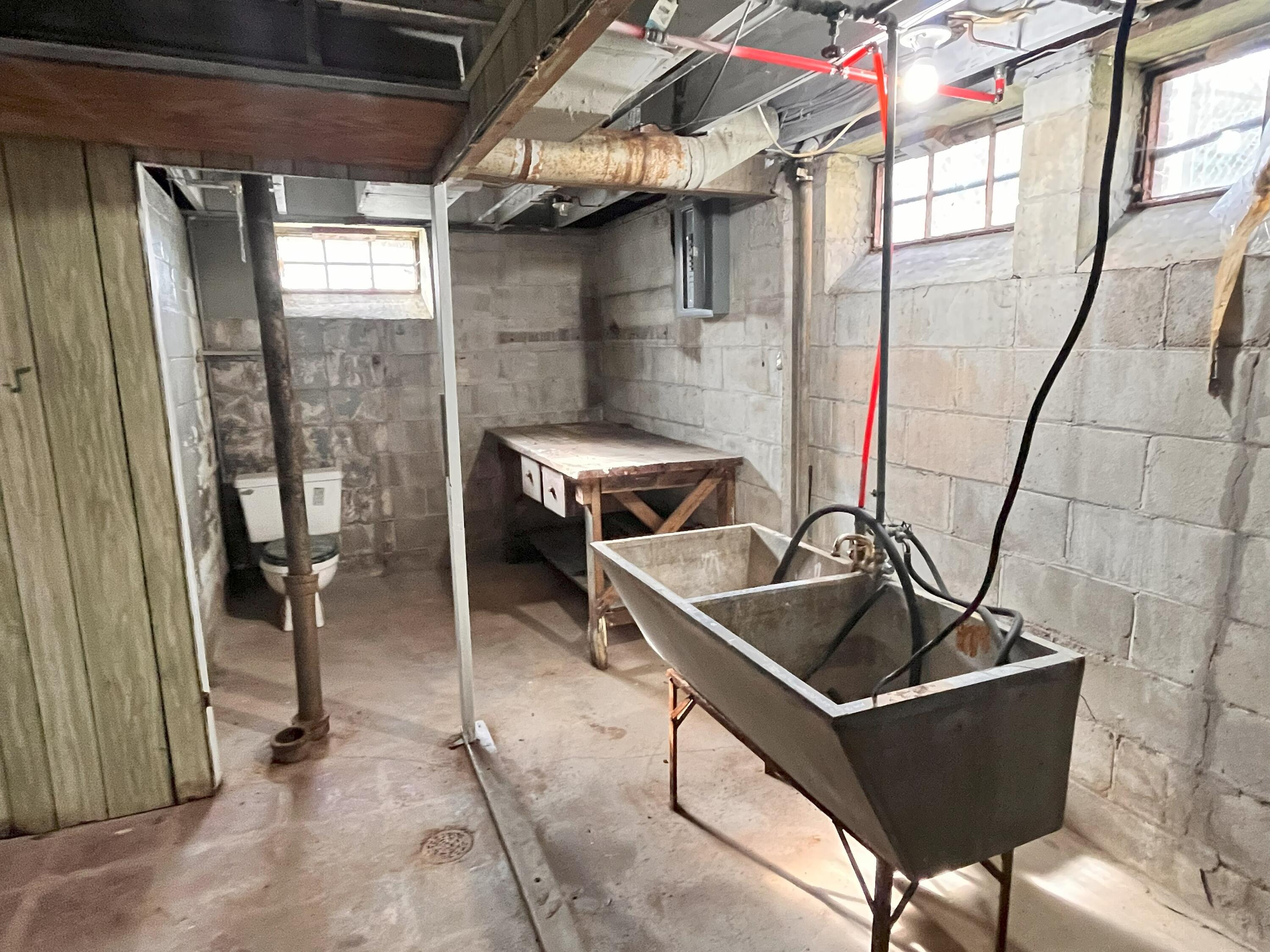 9909 Coyle Street Detroit, MI 48227 - Photo 25 of 26 9909 Coyle Basement 1