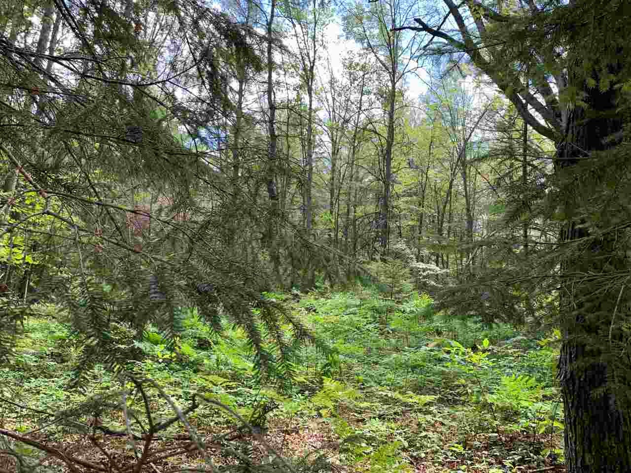 Xxx East Pere Cheney Road Roscommon, MI 48653 - Photo 25 of 30 Gallery Image 25