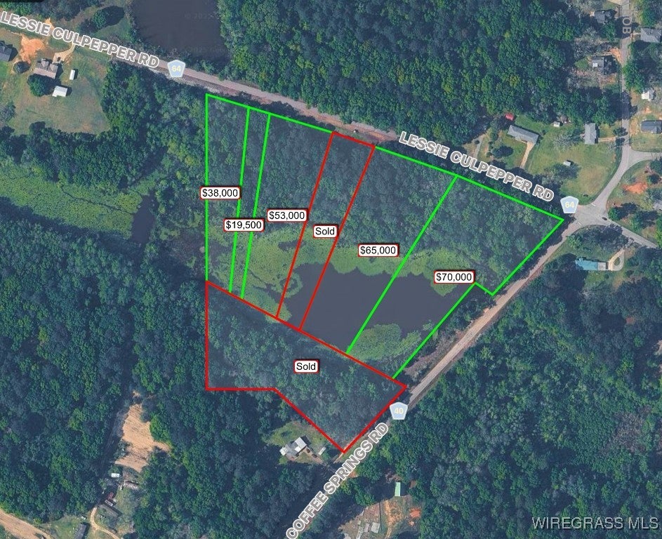 675 Lessie Culpepper Road Coffee Springs, AL 36318 - Photo 8 of 18 Gallery Image 8