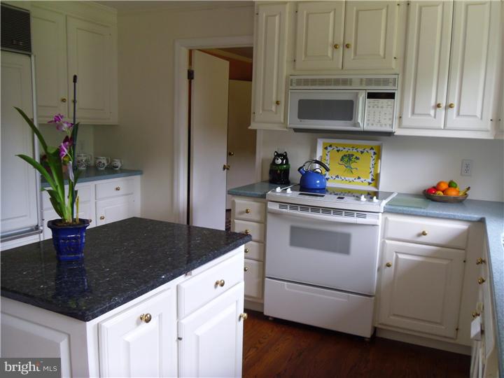 768 Northbrook Road Kennett Square, PA 19348 - Photo 6 of 24 Kitchen