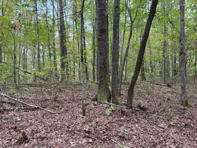 3 Tipple Road Tracy City, TN 37387 - Photo 10 of 18 Gallery Image 10