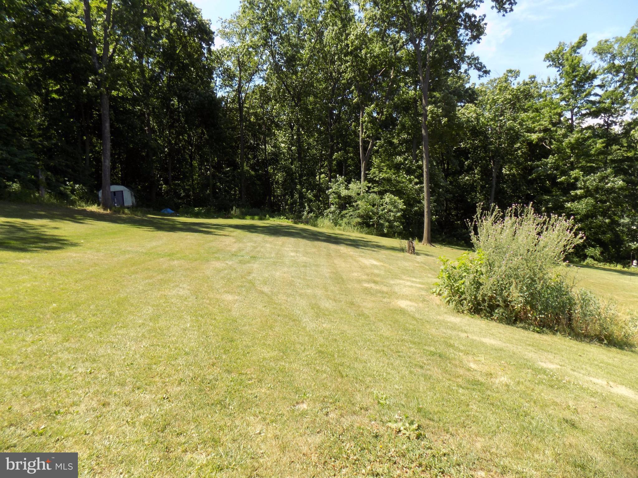 31 Cliffside Road Linden, VA 22642 - Photo 28 of 29 Exterior (Rear)
