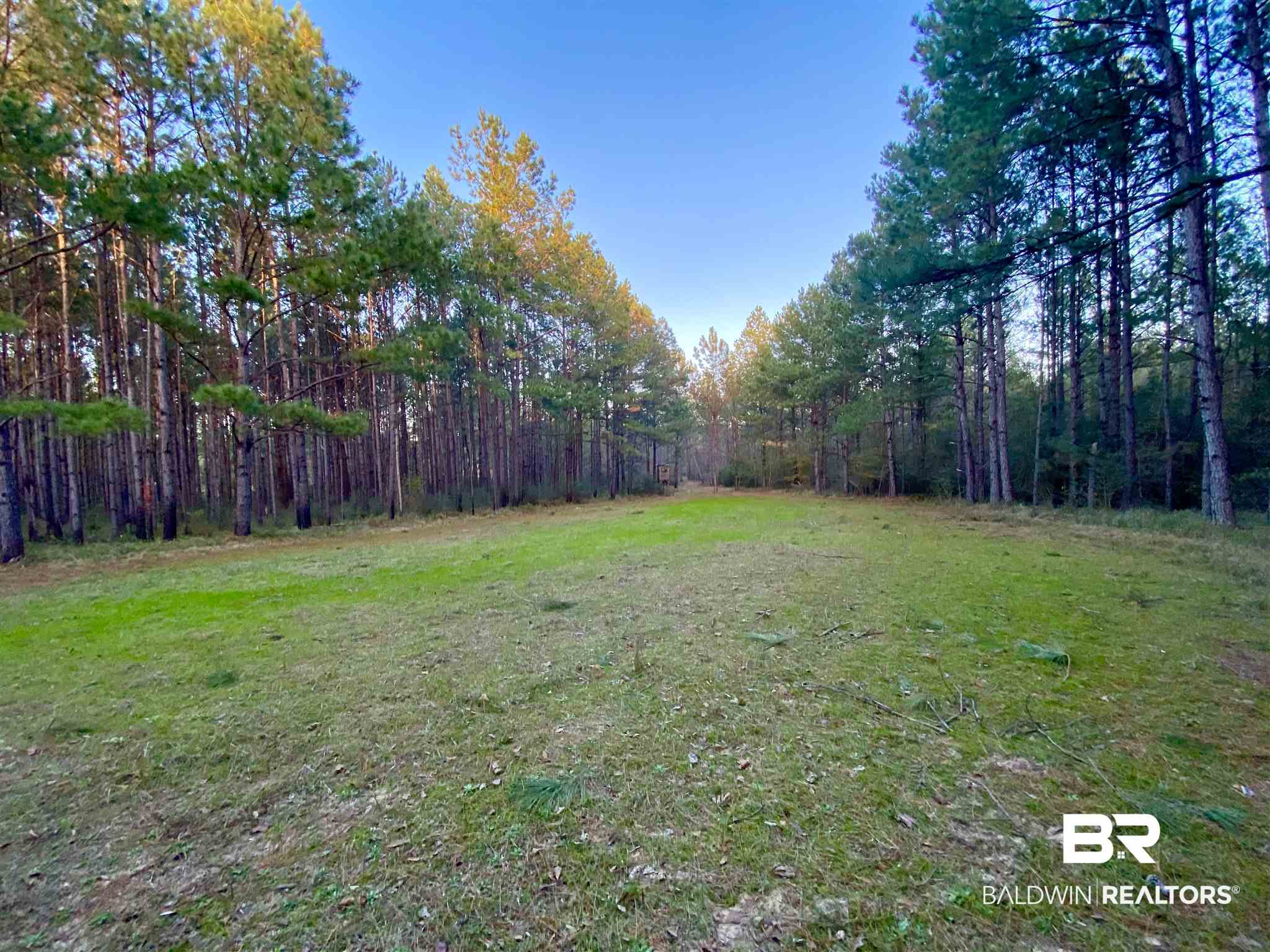 0 Country Road Fruitdale, AL 36539 - Photo 24 of 47