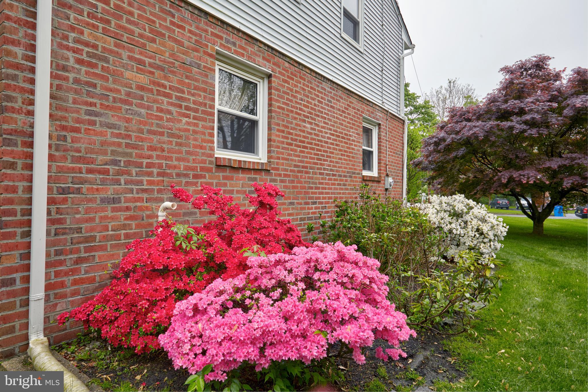 206 Devon Road Cinnaminson, NJ 08077 - Photo 7 of 50 Gallery Image 7