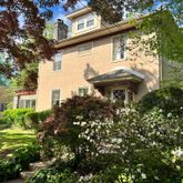 a view of a yard with plants and large trees