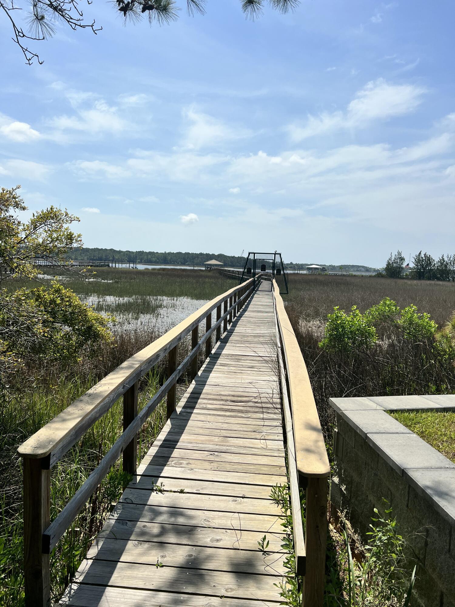 1207 Rivers Reach Drive Wando, SC 29492 - Photo 12 of 62 IMG_5654