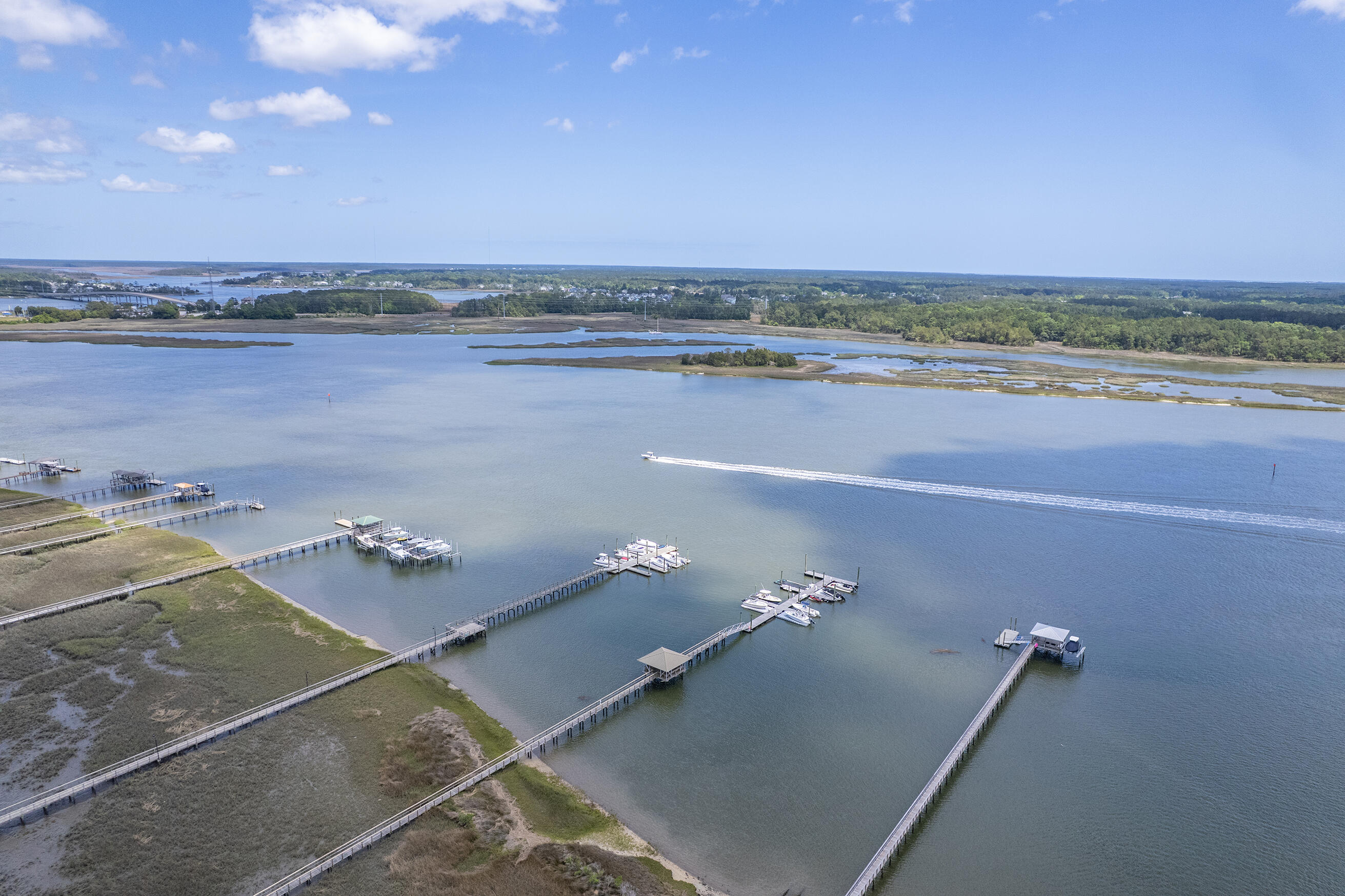 1207 Rivers Reach Drive Wando, SC 29492 - Photo 49 of 62 Zyndicate1135
