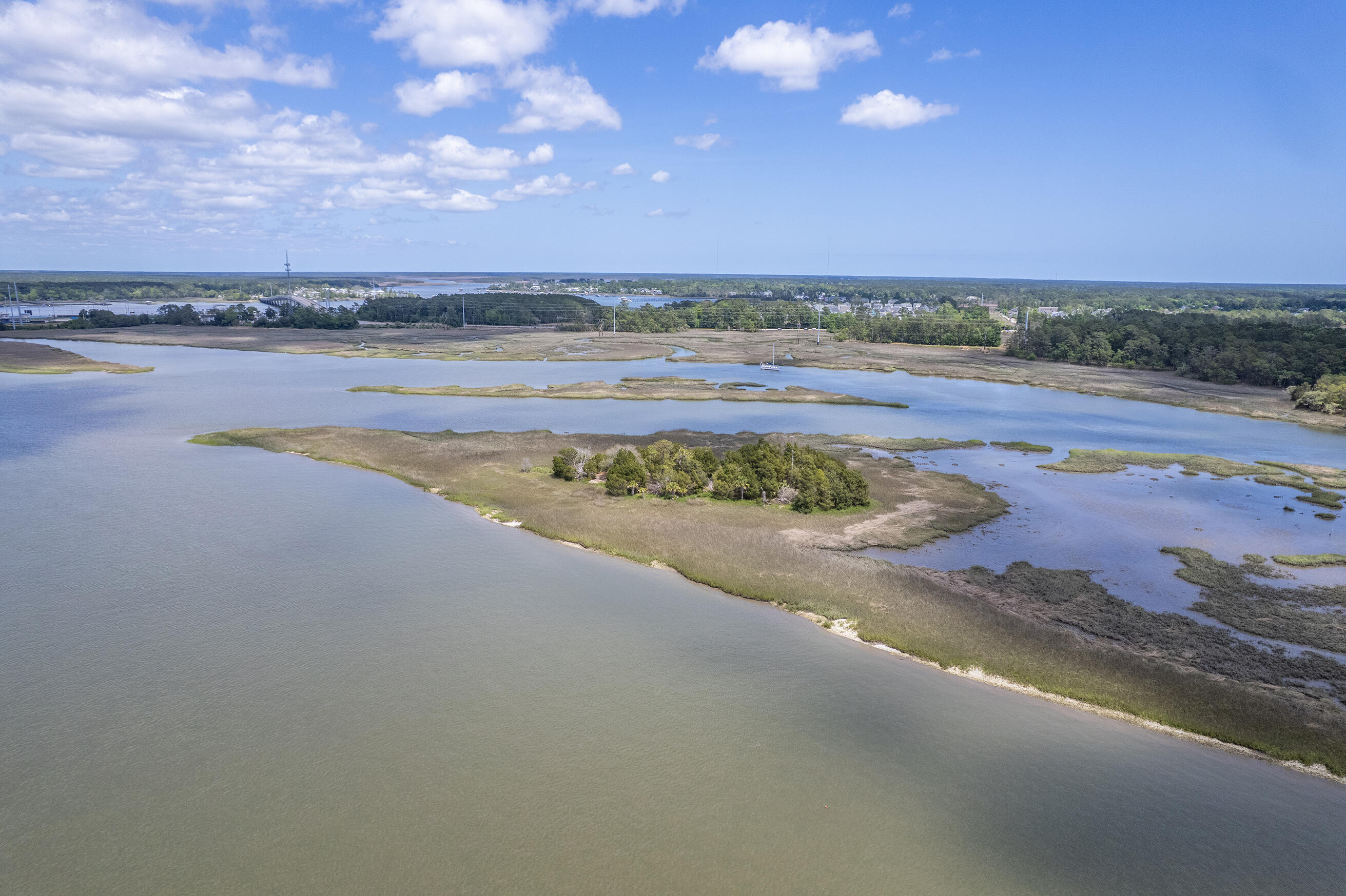 1207 Rivers Reach Drive Wando, SC 29492 - Photo 53 of 62 Zyndicate1142