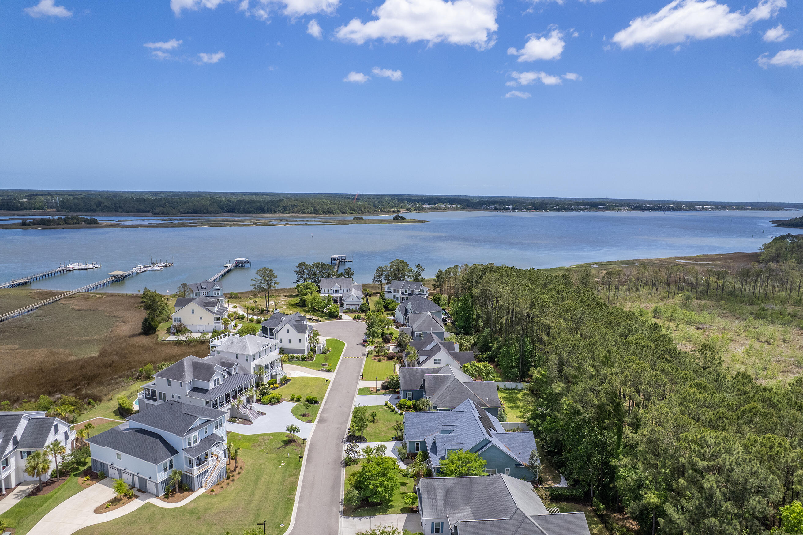 1207 Rivers Reach Drive Wando, SC 29492 - Photo 59 of 62 Zyndicate1129
