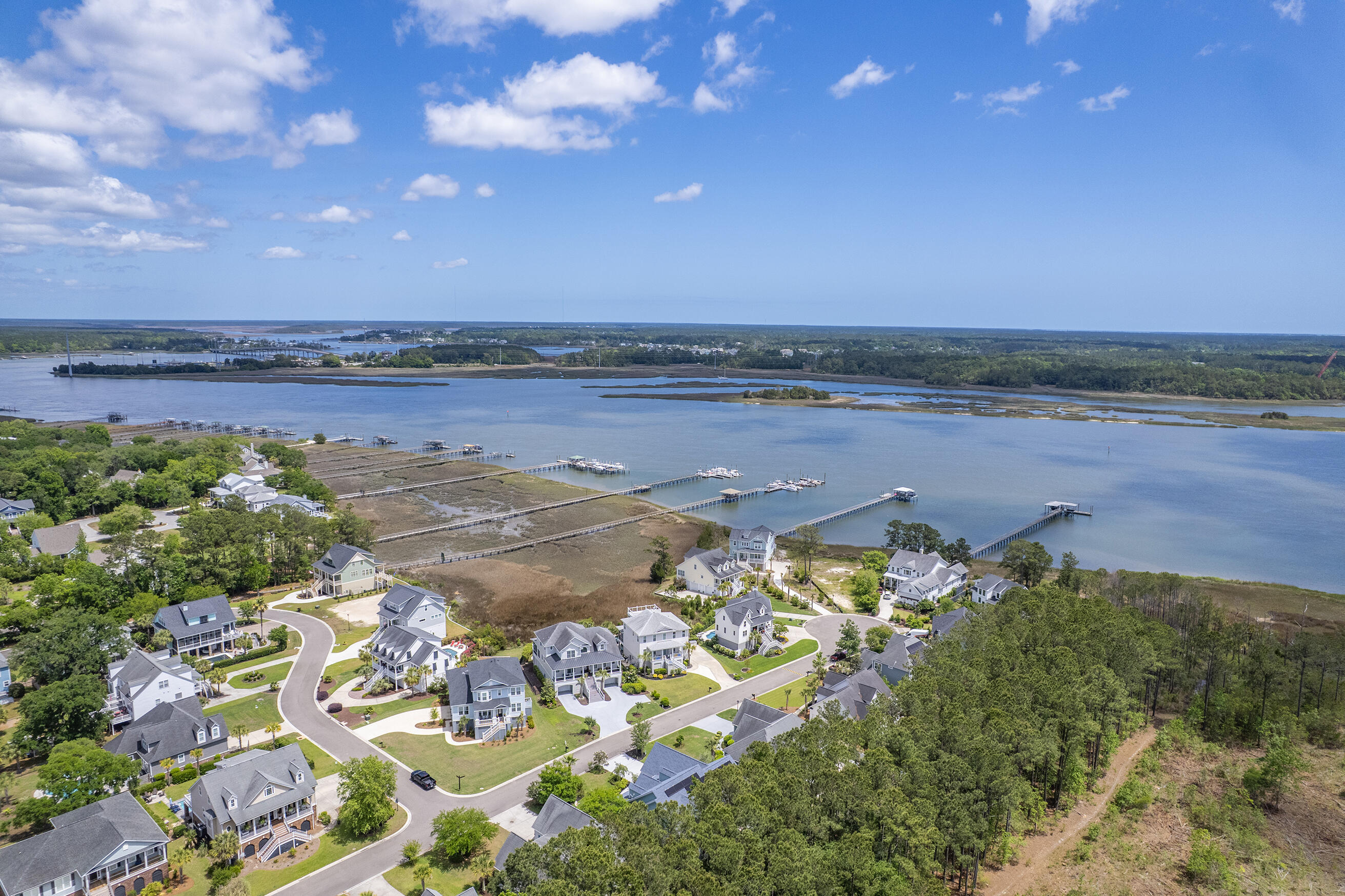 1207 Rivers Reach Drive Wando, SC 29492 - Photo 61 of 62 Zyndicate1131