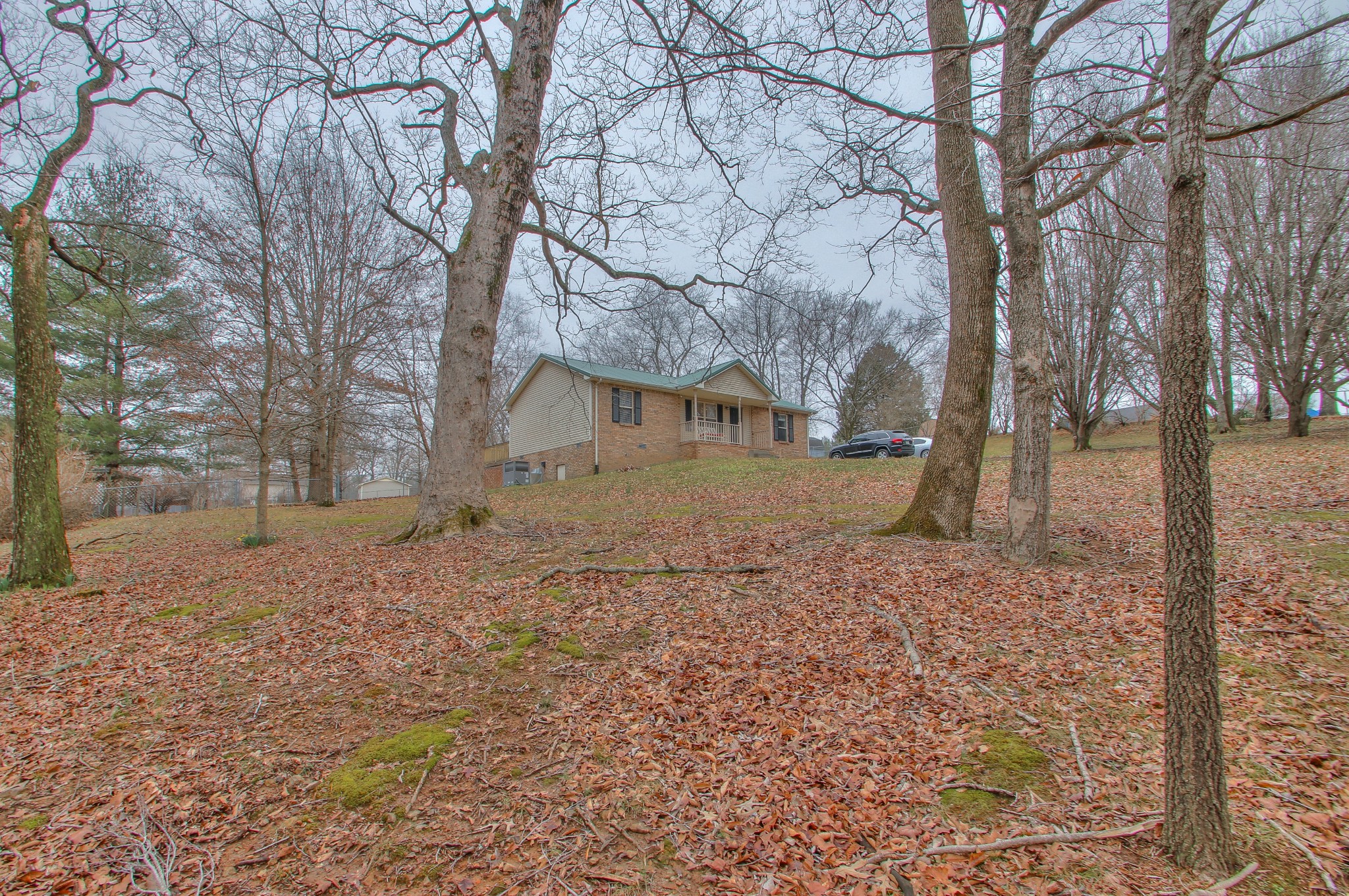 1006 Richland Trail Road Ashland City, TN 37015 - Photo 23 of 33 a backyard of a house with lots of green space