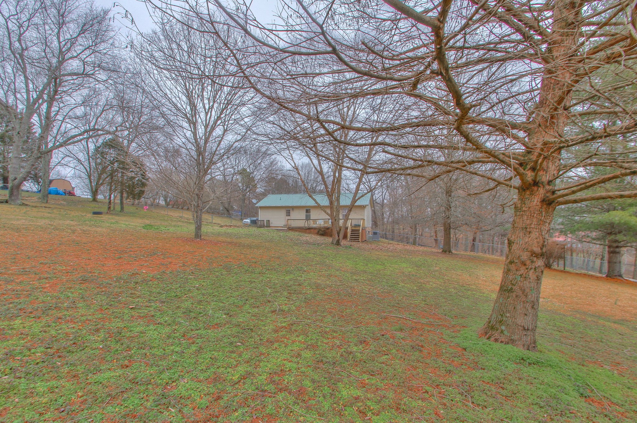 1006 Richland Trail Road Ashland City, TN 37015 - Photo 31 of 33 a view of yard with trees