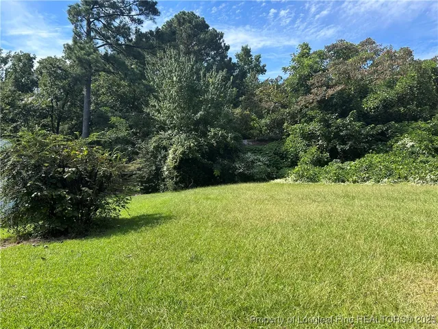 a view of a yard with a tree