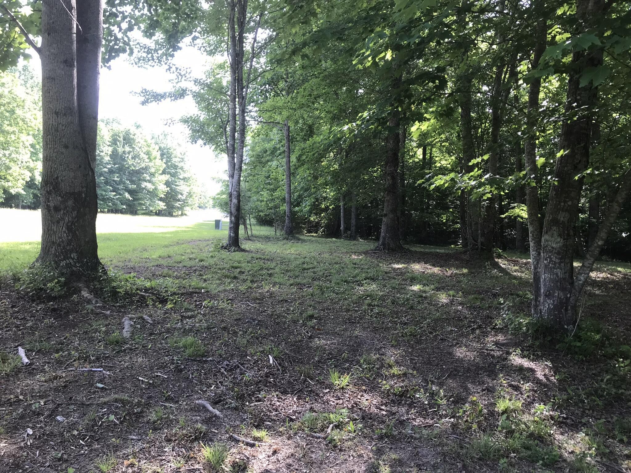 503 Wilderness Way Dunlap, TN 37327 - Photo 16 of 22