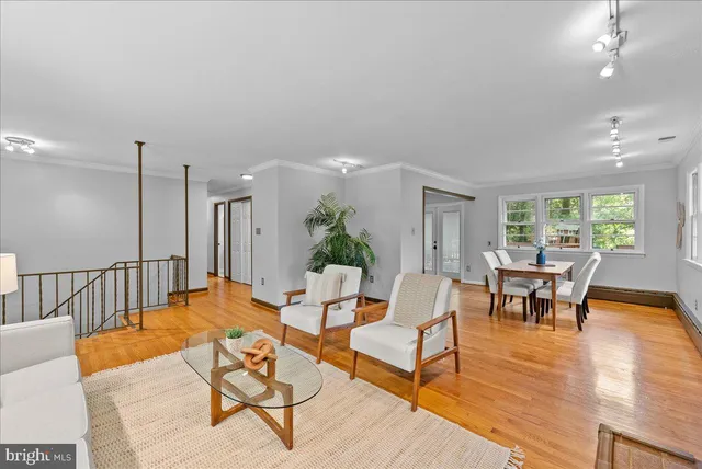 a living room with furniture a dining table and a potted plant