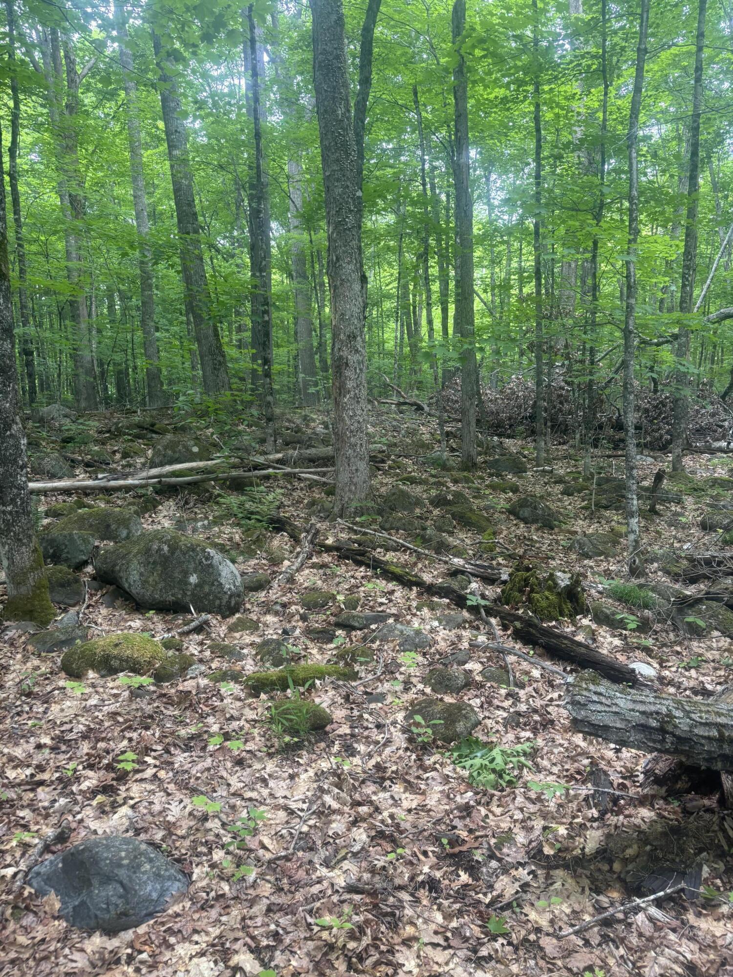 0 Stream Road Moscow, ME 04920 - Photo 6 of 6 IMG_3789