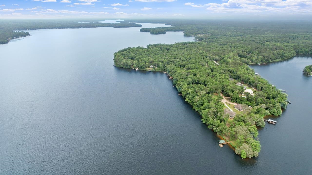 Parramore Shores Road Tallahassee, FL 32310 - Photo 19 of 31