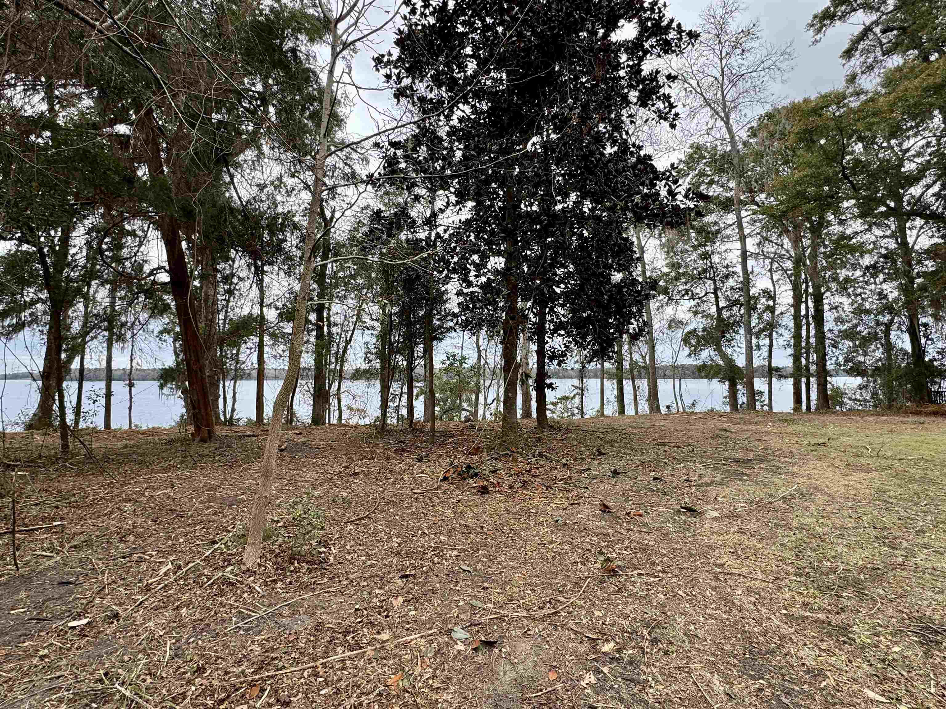 Parramore Shores Road Tallahassee, FL 32310 - Photo 27 of 31