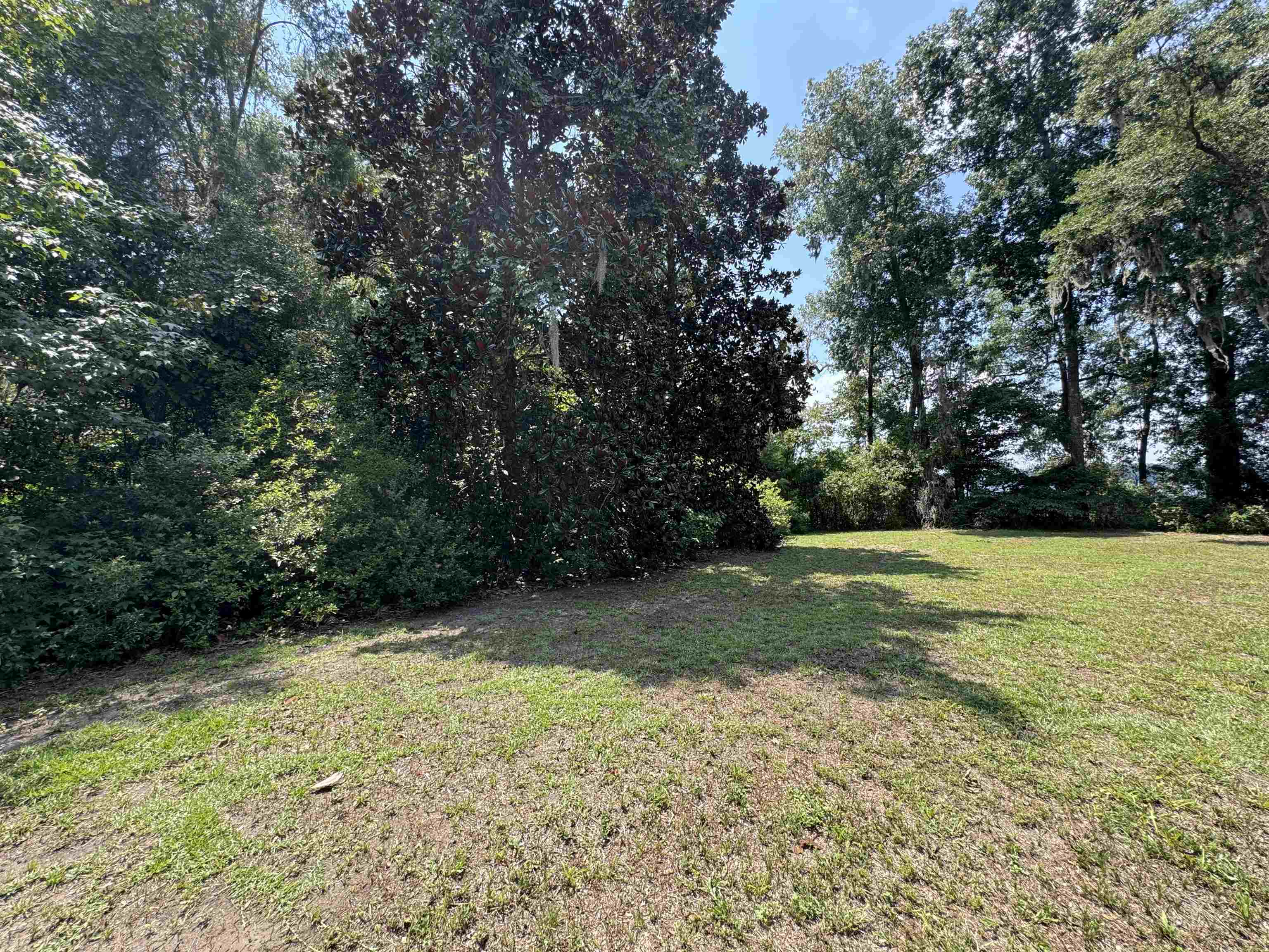 Parramore Shores Road Tallahassee, FL 32310 - Photo 29 of 31