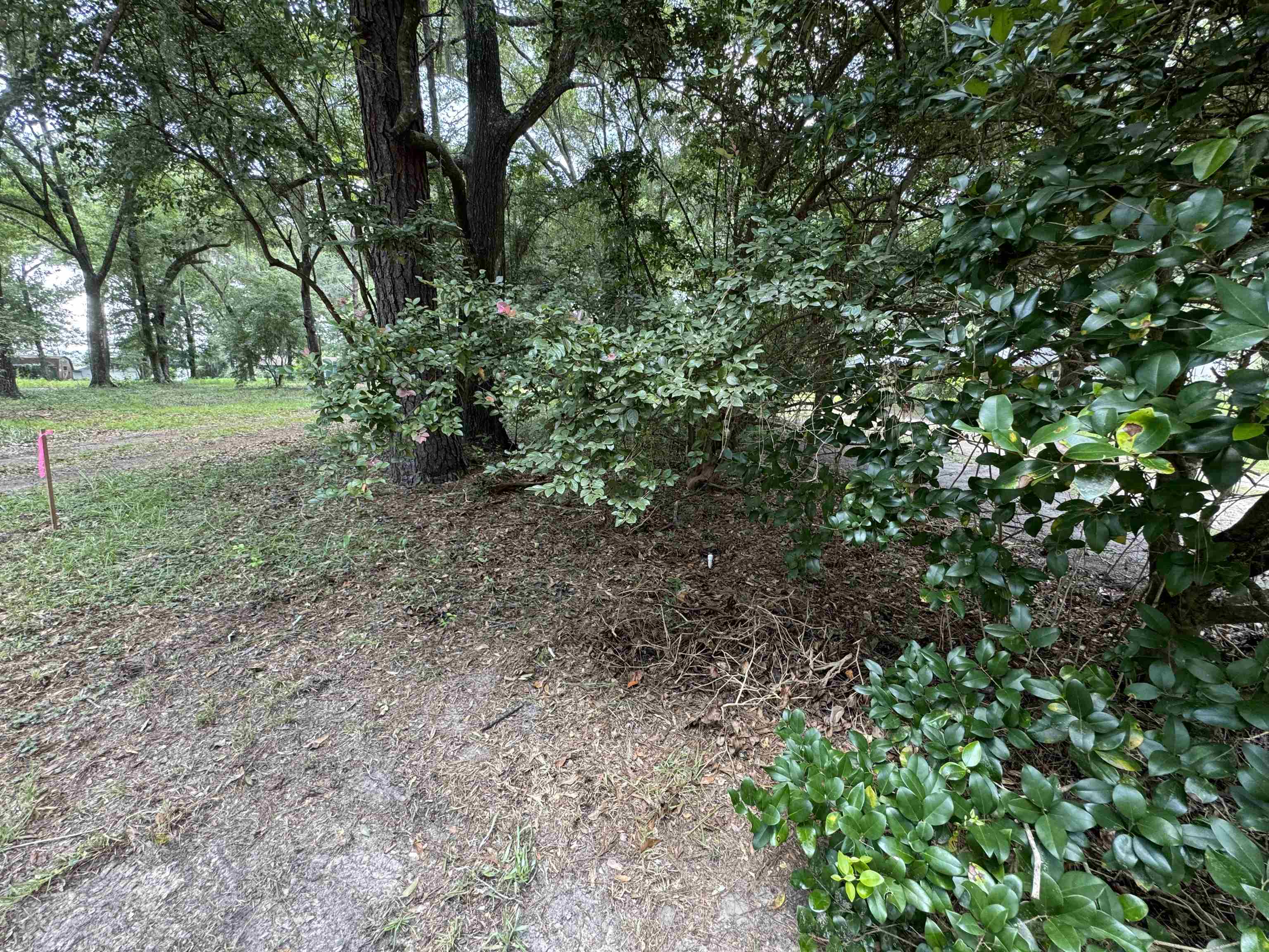 Parramore Shores Road Tallahassee, FL 32310 - Photo 5 of 31