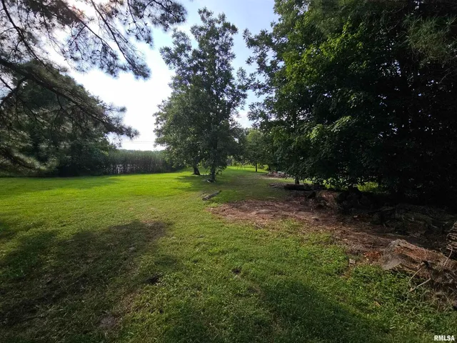 a view of a field with a tree