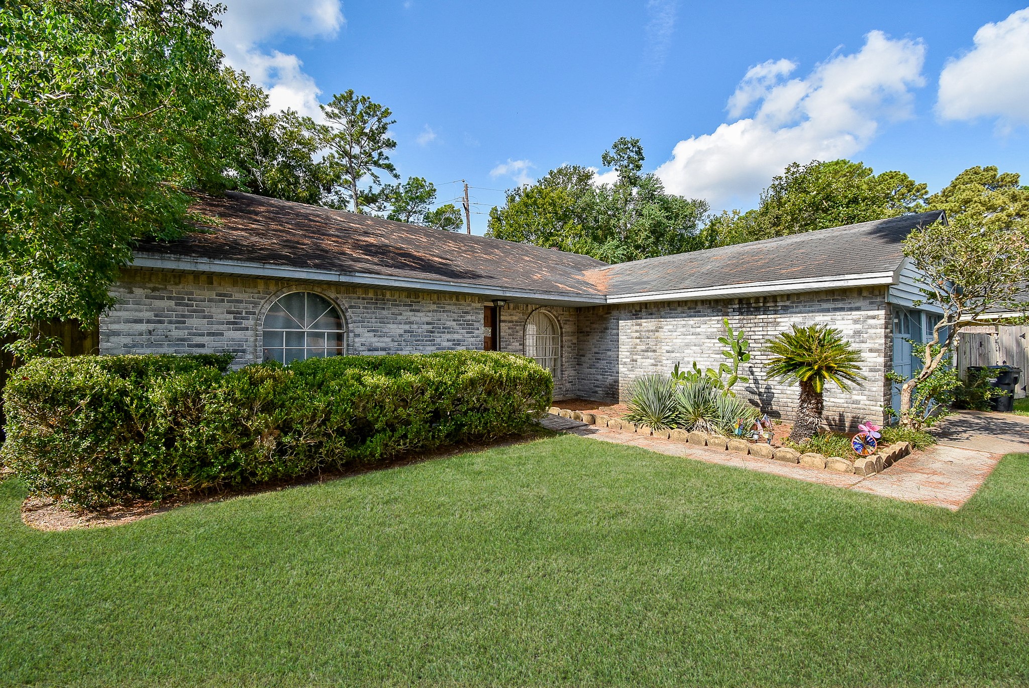23003 Good Dale Lane Spring, TX 77373 - Photo 2 of 13 a view of a backyard with plants and a garden