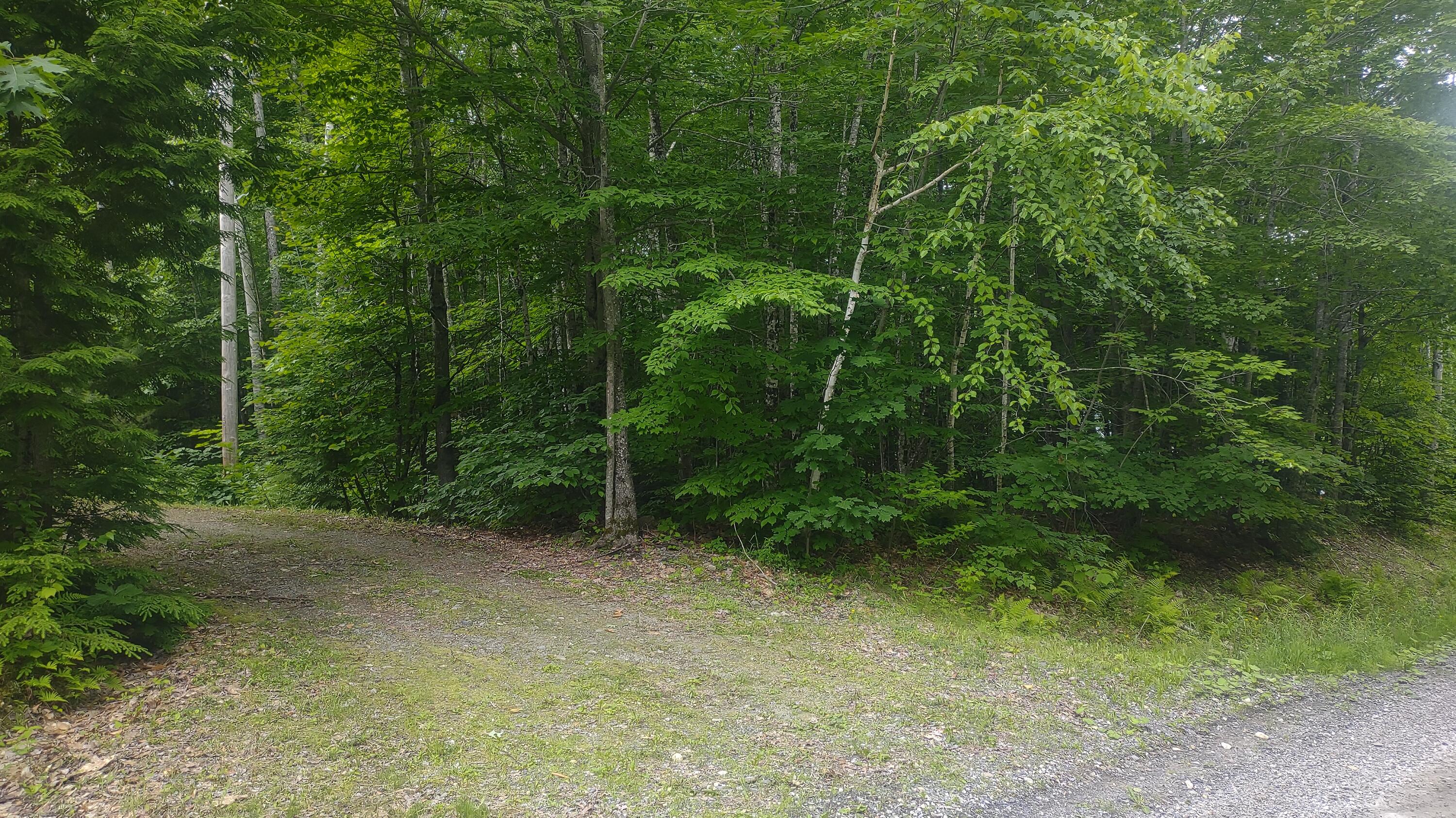 Tbd Stream Road Vienna, ME 04360 - Photo 1 of 7 IMG_20260621_130412363