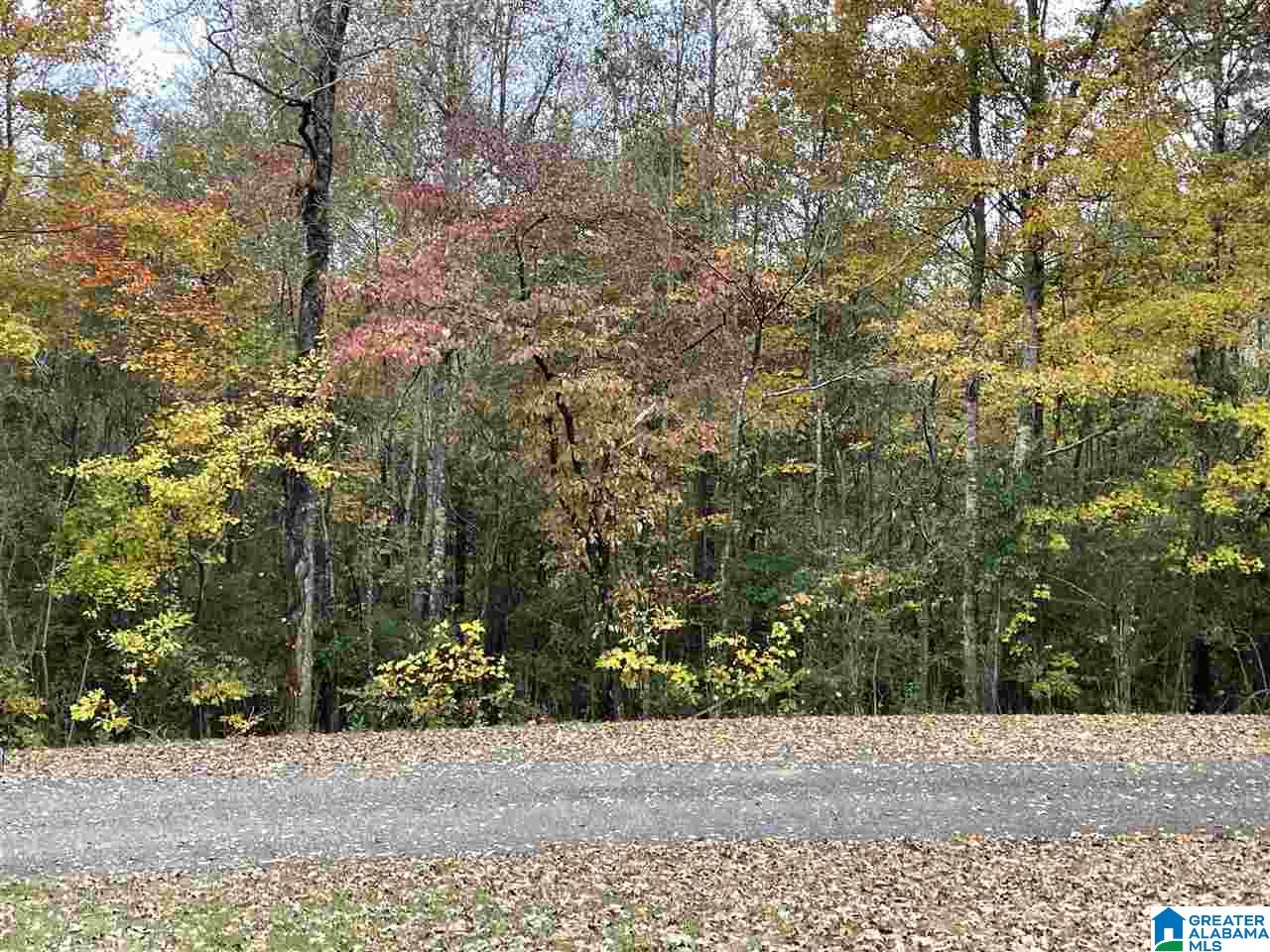 1163 County Road 158 Heflin, AL 36264 - Photo 10 of 18