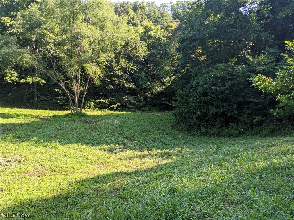 55234 North Star Road Pleasant City, OH 43772 - Photo 30 of 35