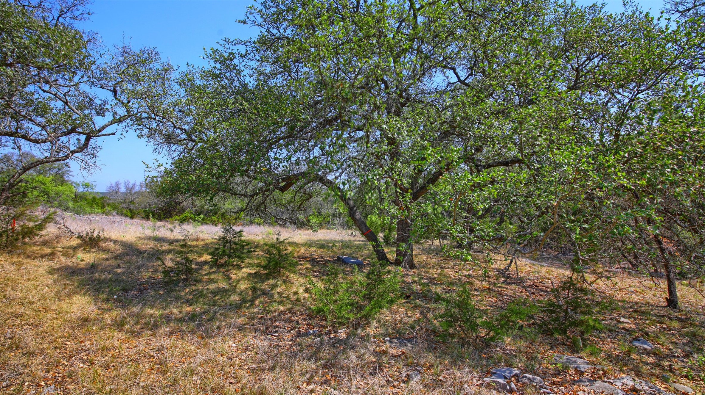 0 Mormon Mill Road Marble Falls, TX 78654 - Photo 34 of 36