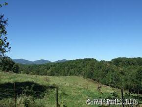 0 Hominy Creek Road Candler, NC 28715 - Photo 11 of 11 Gallery Image 11