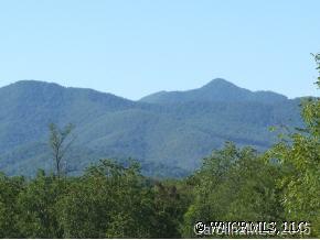 0 Hominy Creek Road Candler, NC 28715 - Photo 8 of 11 Gallery Image 8