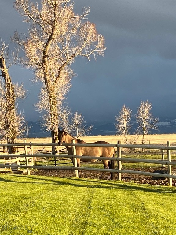 6070 Springhill Road Belgrade, MT 59714 - Photo 39 of 40 Such a handsome model
