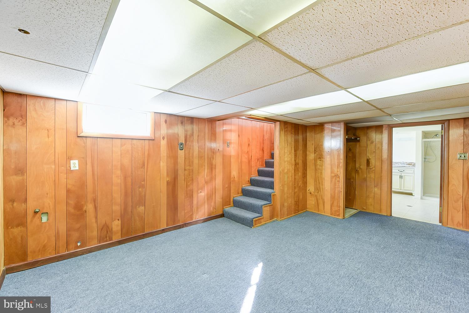824 South Glebe Road Arlington, VA 22204 - Photo 31 of 54 basement