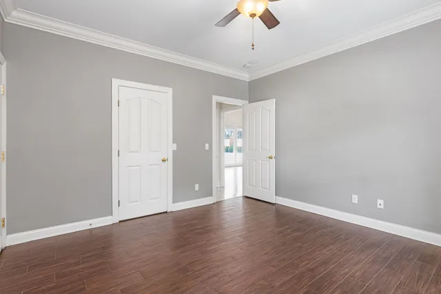 a view of a yard with plants