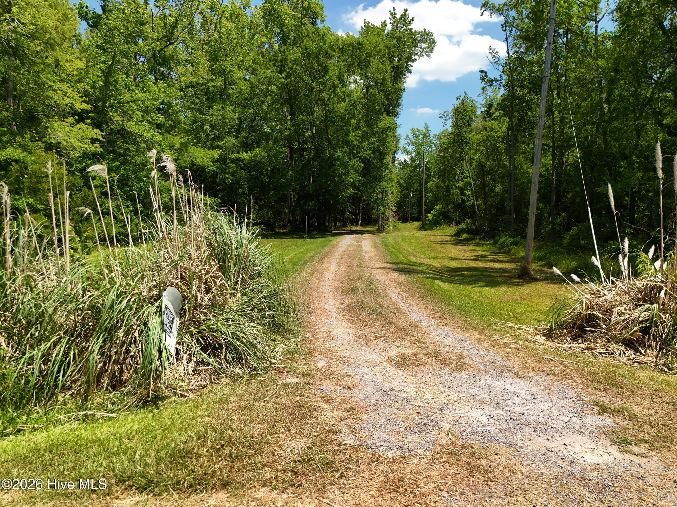 380 Fort Island Road Eure, NC 27935 - Photo 3 of 33
