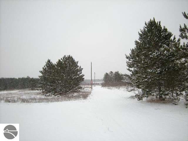 11627 Priest Road Mancelona, MI 49659 - Photo 4 of 13 1710688-3.JPG